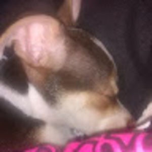 Meet your Posher, Mandy